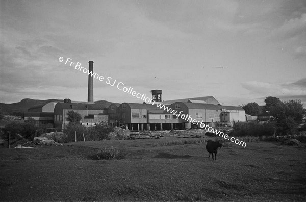 WIDE ANGLE PANORAMA OF MILL